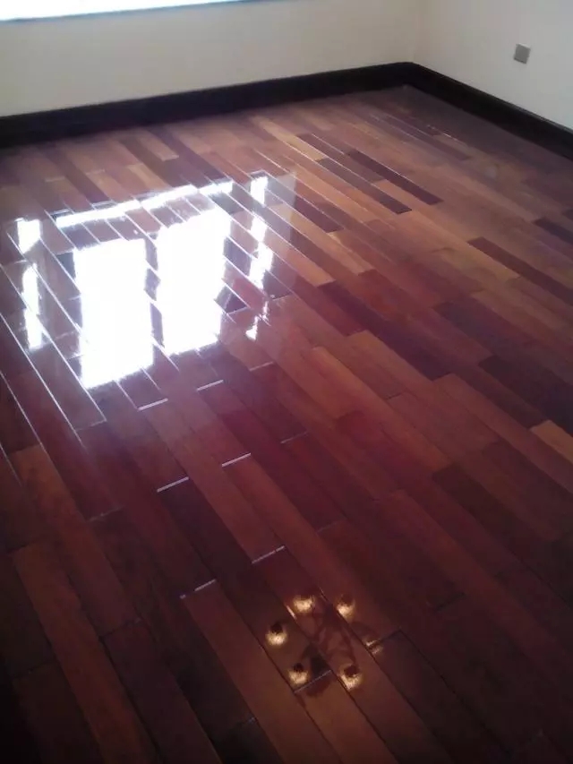 裝2.webp.jpg 裝2.webp.jpg